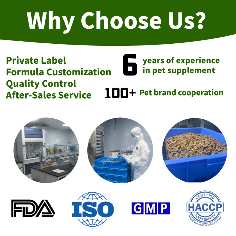 Pet Treats Factory - Private Label Pet Supplement Dog Treats Snacks Suppliers 120 Soft Chews Probiotic