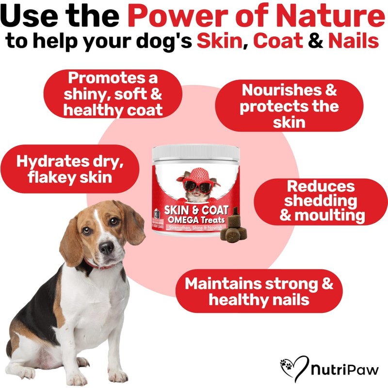 EPA DHA Factory - Premium EPA DHA Salmon Oil Pet Supplement Omega 3 Fatty Acids Rich Chews for Dog Cat