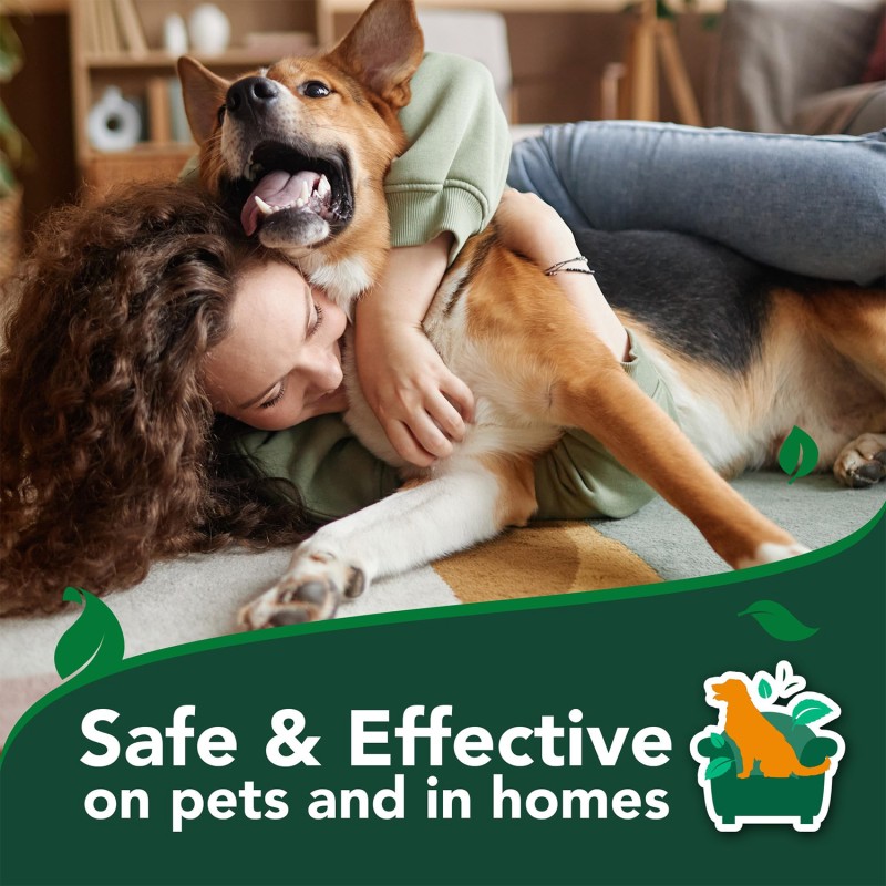 Flea Spray Manufacturer - Natural Organic Flea Tick Spray Safe Effective Pest Control for Dogs Cats