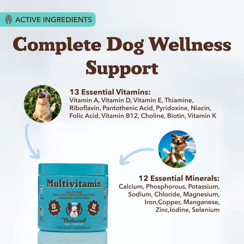 Multivitamin Manufacturer - OEM Dog Multivitamin Top Manufacturer Complete Pet Health Care Supplements GMP