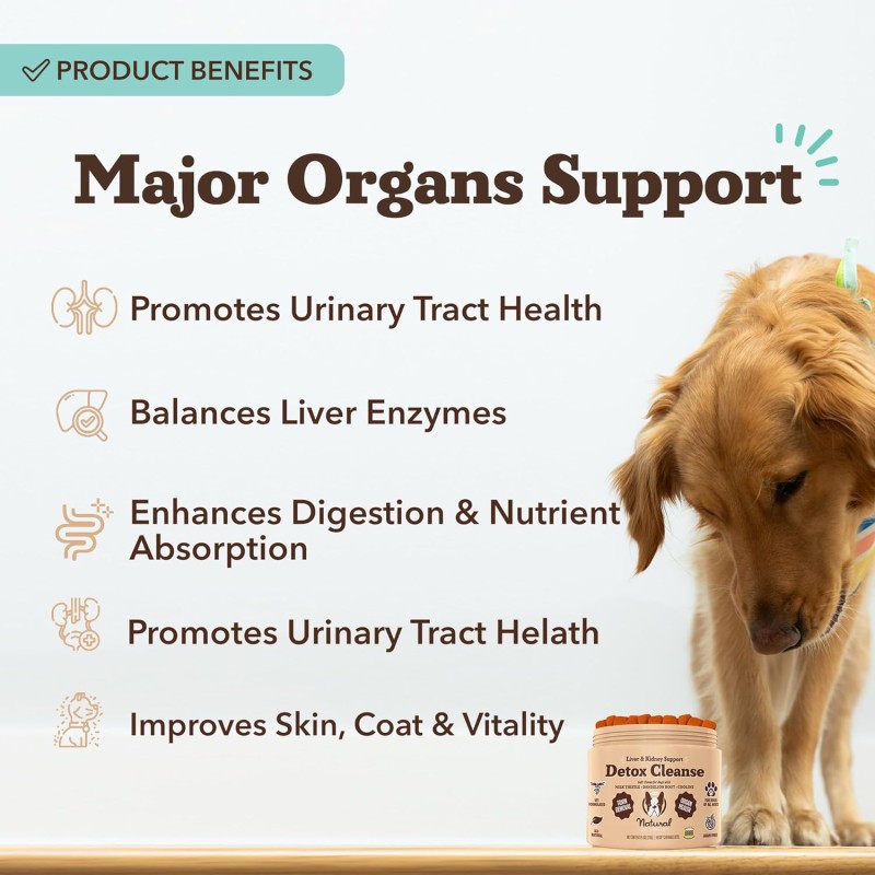 Liver Supplement Supplier - Natural Liver Supplement Dogs Liver Detox Hepatic Health Aid Vet Recommended