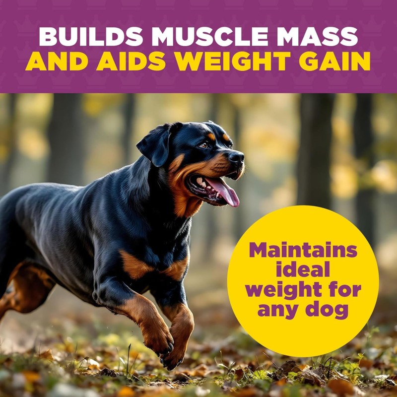 Weight Gain Supplement Manufacturer - Premium High Protein Dog Weight Gain Muscle Builder Powder Supplement