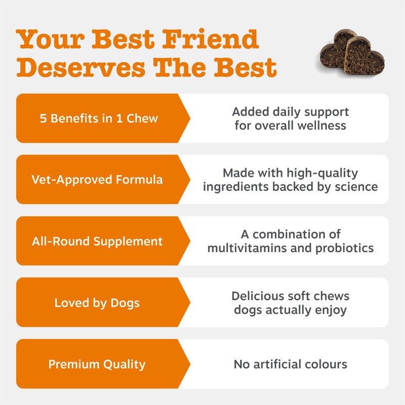 Pet Multivitamin Factory - Premium Pet Nutrition Soft Chews Complete Multivitamin Supplement Dogs Cats