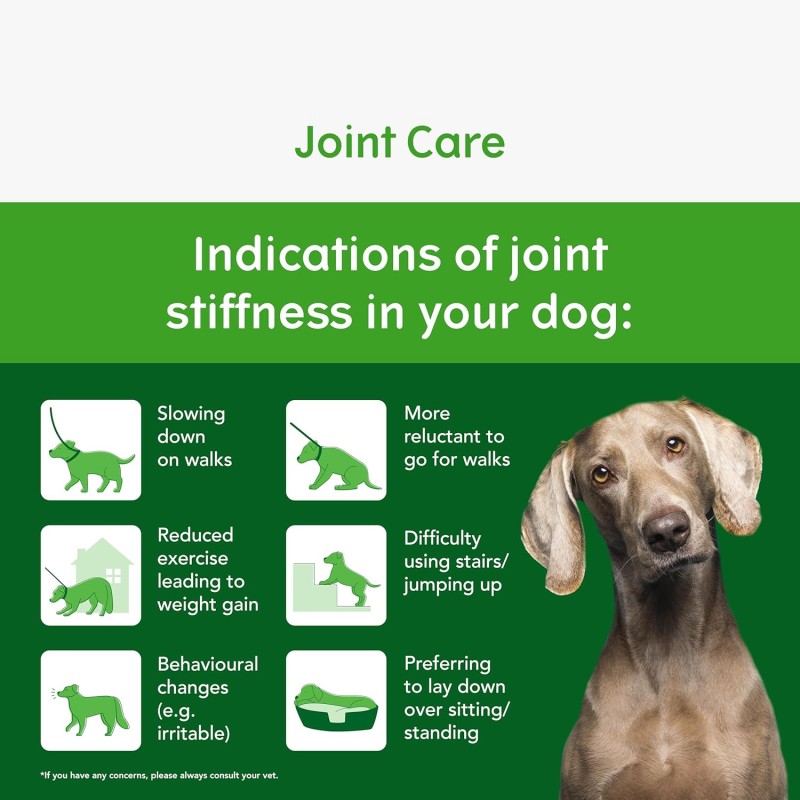 Joint Care Supplement Supplier - ODM Yumove Joint Care for Senior Dog EU Approved Supplements with Hyaluronic Acid