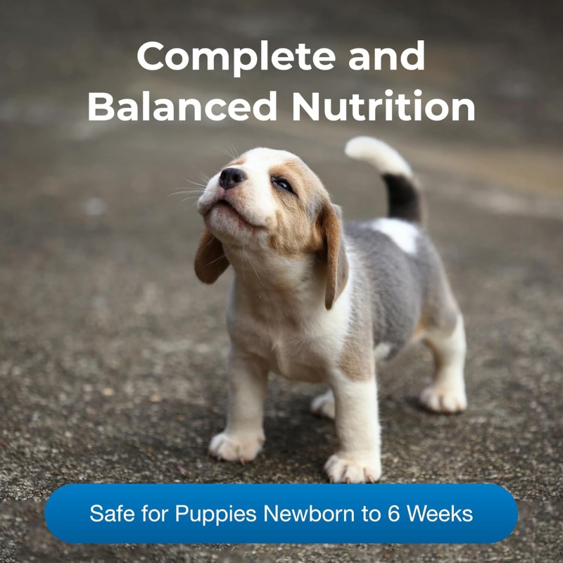 Goat Milk Treats Supplier - Goat Milk Powder Dog Treats Natural Pet Health Care Supplements Digestive Immune