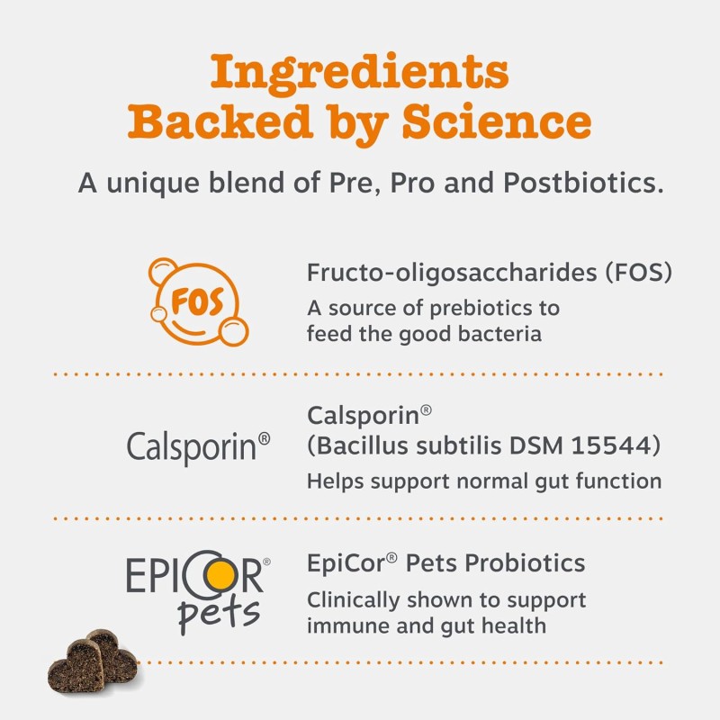 Probiotic Chews Manufacturer - Pet Health Care Supplements Chews Private Label Dog Treat Natural Prebiotics