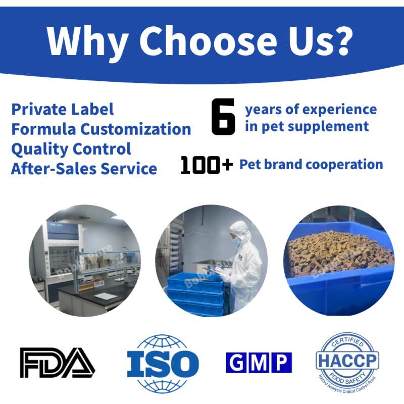 Joint Supplement Supplier - Hip Dysplasia Supplements Dogs Anxiety Relief Pet Treats Joint Supplement