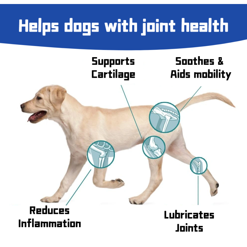 Senior Dog Supplement Manufacturer - Care Old Dog Joint Care Supplement Square Chewable Hip Joint Support