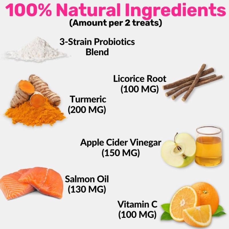 Skin Support Treats Factory - Soothe Dog's Itch Support Skin Coat Immunity with Nutritious Treats Pet Care