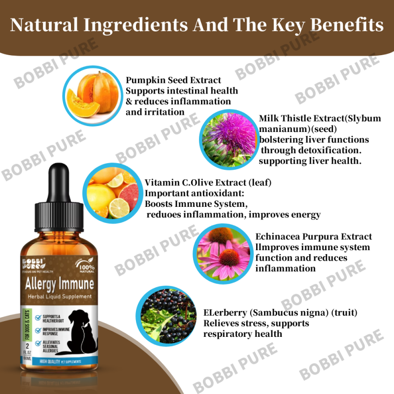 Immune Supplement Factory - Natural Allergy Immune Supplement for Dogs Pet Care Support Dog Vitamins Probiotics