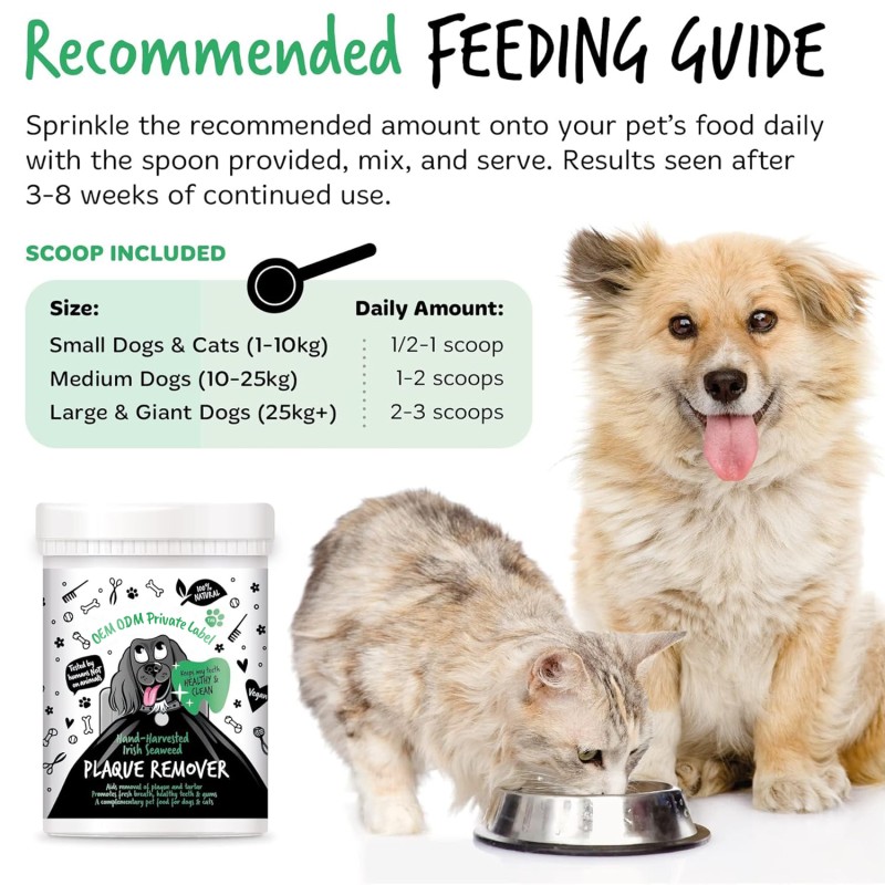 Tartar Control Manufacturer - All-Natural Tartar Control Dental Powder for Dogs Antibacterial Pet Food Additive