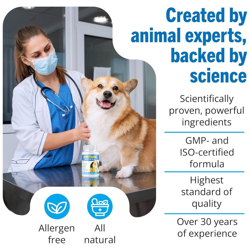 Canine Care Factory - Vet Recommended Dog Hip Joint Supplements Glucosamine Chondroitin MSM Formula