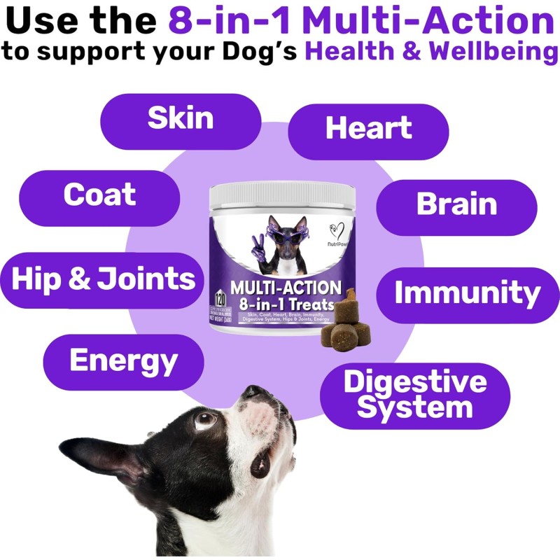 Multivitamin Manufacturer - Customized 8-in-1 Multivitamin Pet Supplements for Dogs Cats 8 Essential Vitamins