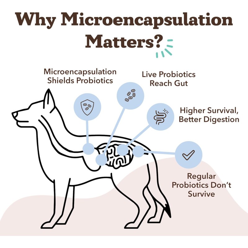 Pet Treats Factory - OEM Pet Food Supplement Dog Treats Snacks Suppliers 120 Soft Chews Probiotic Digestive