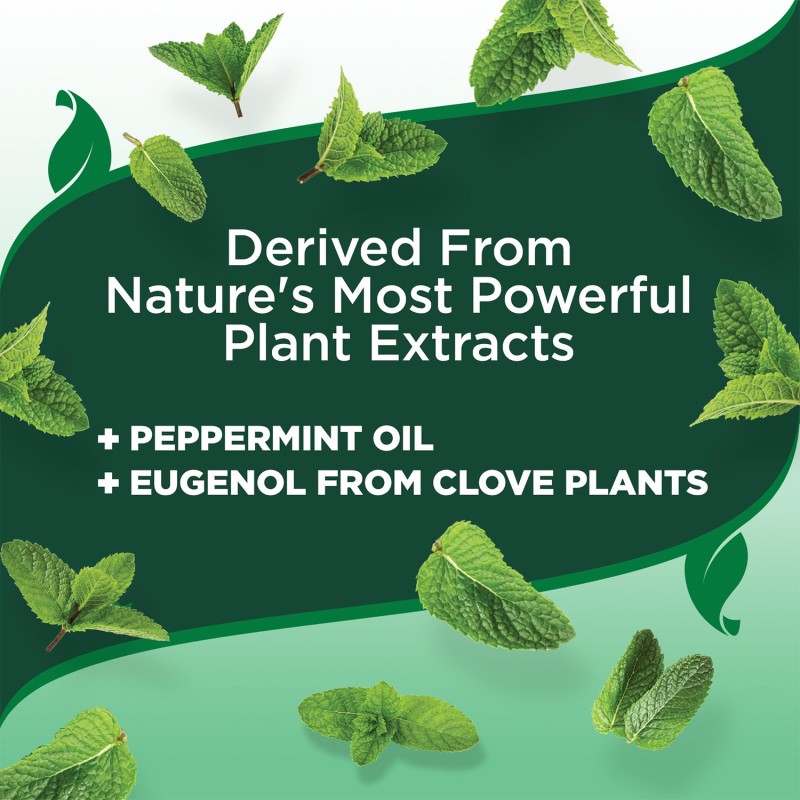 Flea Spray Manufacturer - Natural Organic Flea Tick Spray Safe Effective Pest Control for Dogs Cats