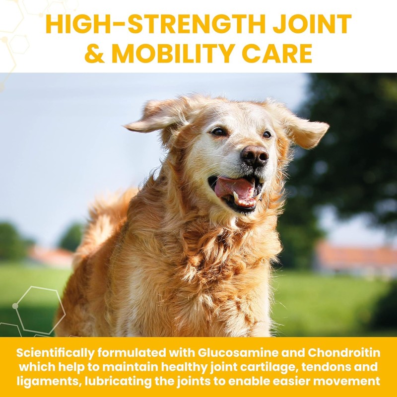 Dog Mobility Supplement Manufacturer - Premium Dog Hip Joint Supplements with Glucosamine Chondroitin MSM