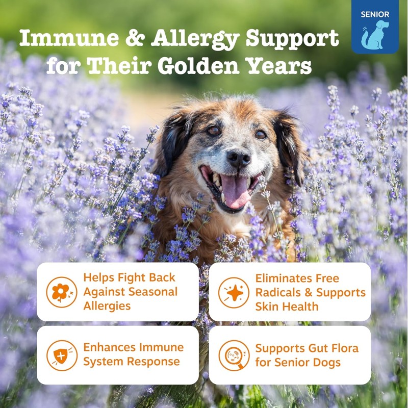 Allergy Chews Factory - Dog Itchy Skin Relief Allergy Immune Support Natural Soft Chews Pet Care