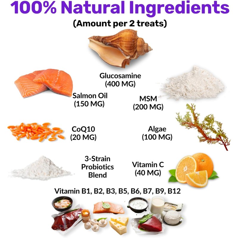 Multivitamin Manufacturer - Customized 8-in-1 Multivitamin Pet Supplements for Dogs Cats 8 Essential Vitamins