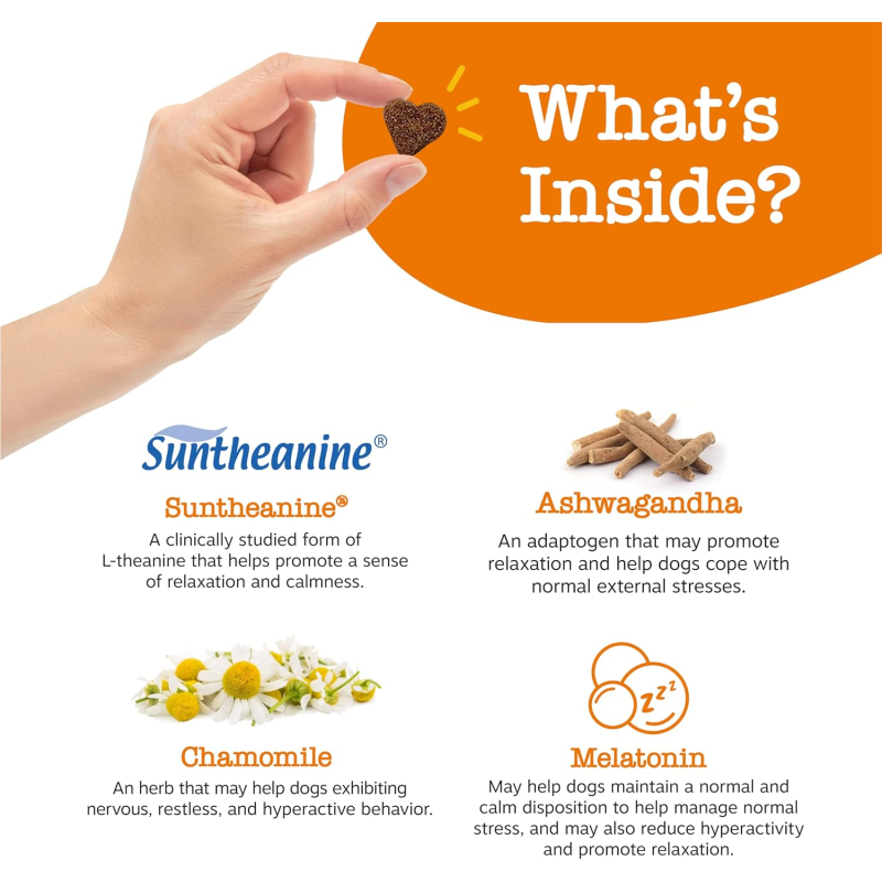 Calming Snacks Manufacturer - BOBBI PURE Calming Treats Help Dog Stress Relaxing Dogs Supplements Vitamin Chews