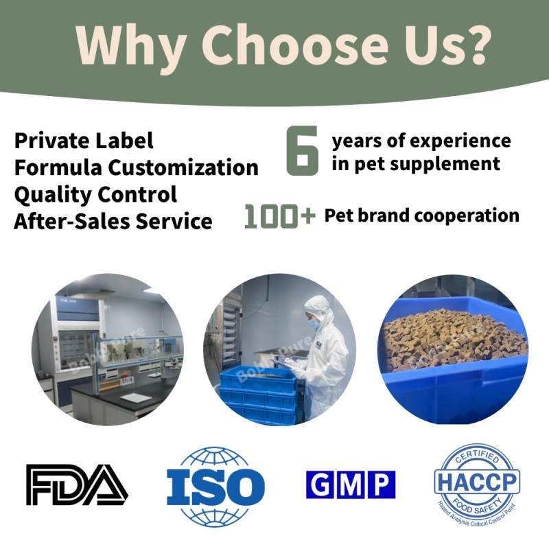 Hairball Bites Factory - Free Sample Hairball Bites for Cats Functional Supplement Omega 3 Salmon Fish Oil EPA