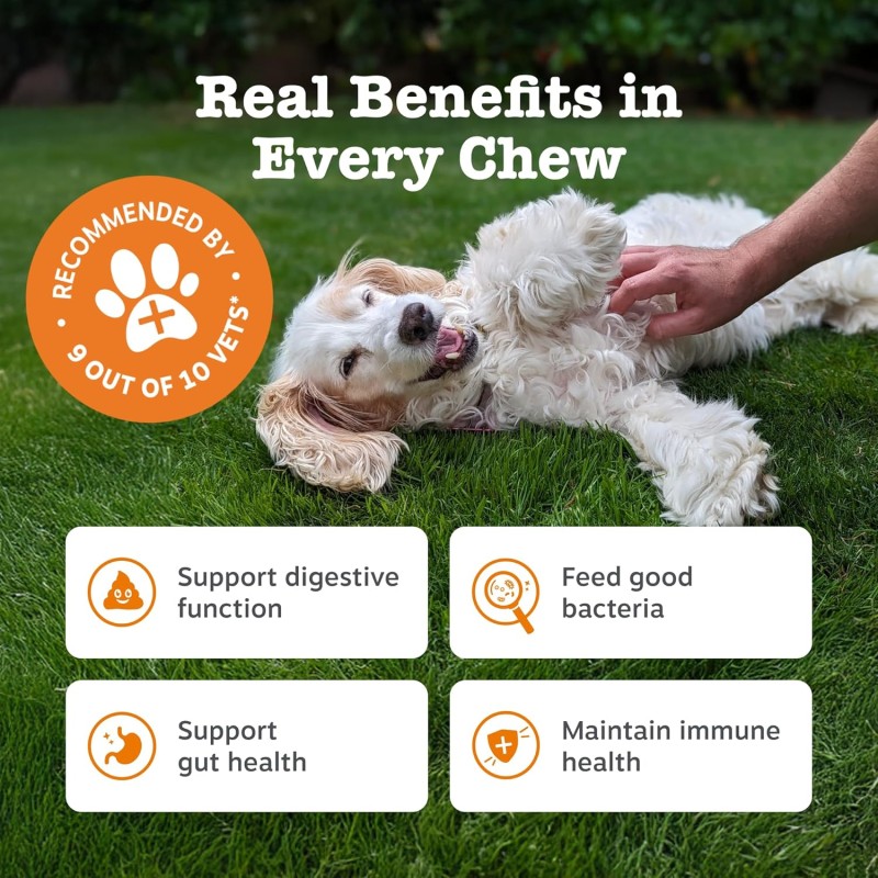 Probiotic Chews Manufacturer - Pet Health Care Supplements Chews Private Label Dog Treat Natural Prebiotics