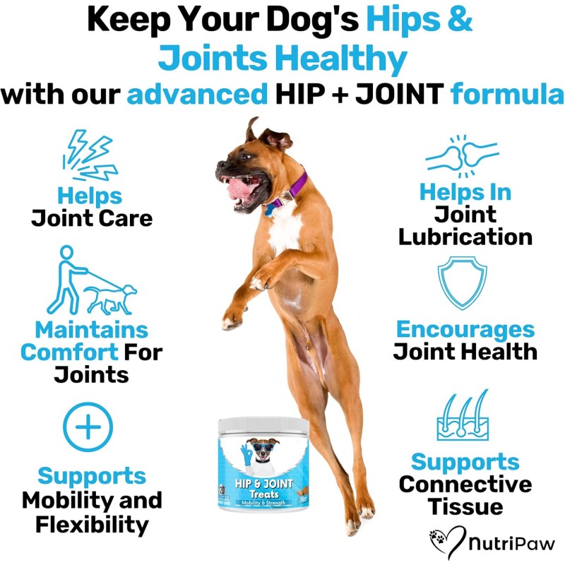 Soft Chews Supplier - Best Natural Hip Joint Soft Chews for Dogs Lecithin Multivitamin Vitamin Dog Treats