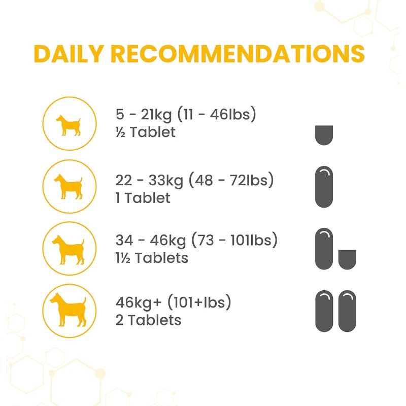 Dog Joint Supplement Supplier - Vet-Recommended Dog Hip Joint Supplements Glucosamine Chondroitin MSM