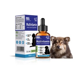 Vitamin Supplement Factory - Premium Natural Dog Vitamin Supplement Chews Tablets Liquid Multivitamin Pet Care