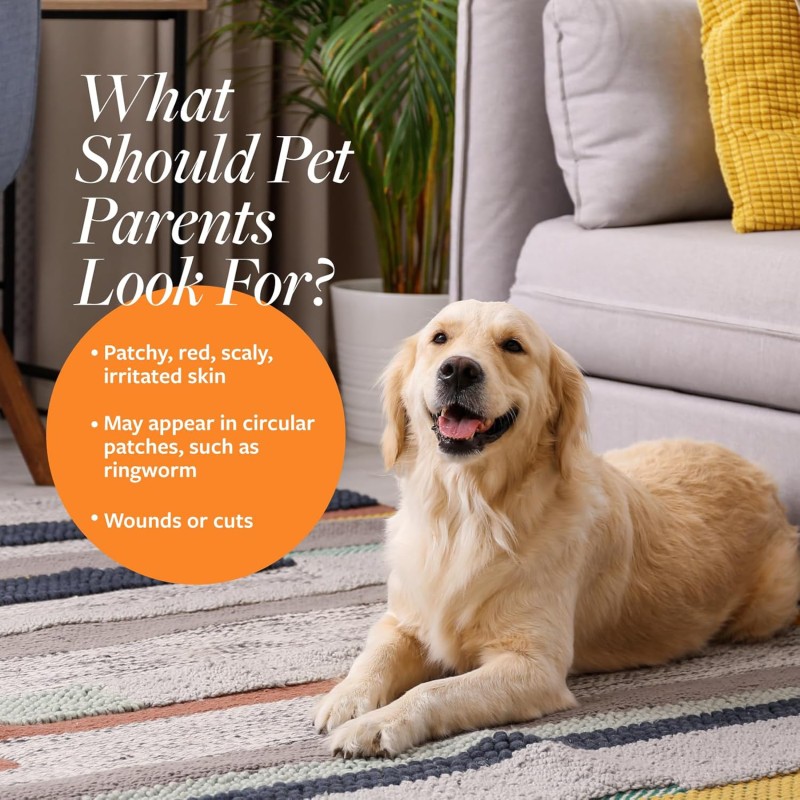 Pet Care Shampoo Supplier - Hypoallergenic Gentle Dog Wash Moisturizing Pet Shampoo Vitamins Omega for Cats