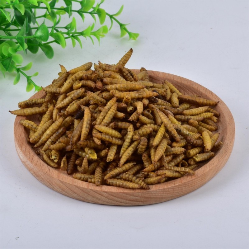 Bird Food Supplier - Dry Food High Protein Dried Black Soldier Fly Larvae High Calcium Worms for Chickens