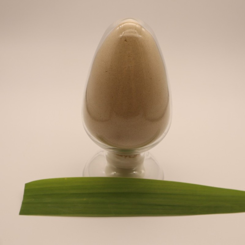 Reptile Food Manufacturer - Deffated Mealworm Freeze-Dried Protein Powder Ranova Reptile Dry Food Supplement