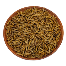 Insect Meal Manufacturer - Microwave Tenebrio Mealworm Superworm Cricket Black Soldier Fly Larvae BSF