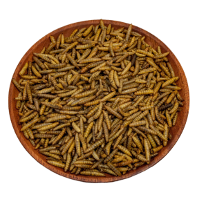 Bird Food Supplier - Dry Food High Protein Dried Black Soldier Fly Larvae High Calcium Worms for Chickens