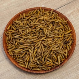 Chicken Feed Supplier - Wholesale 5kg 5LB High Protein Dried Black Soldier Fly Chicken Feed for Horse Cattle
