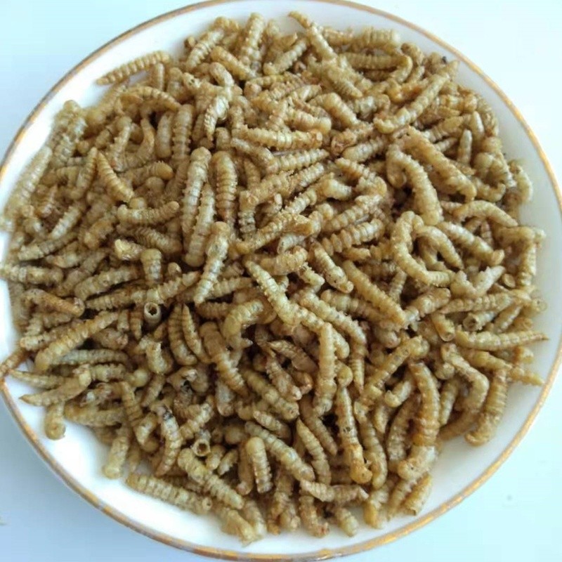 Fishing Feed Manufacturer - High Protein Feed Dried Mealworm Fishing Meal for Aquaculture