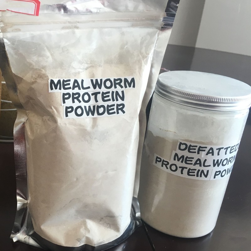 Protein Powder Factory - Defatted Dried Mealworm Protein Powder for Horses Cattle Pigs Fish Dogs