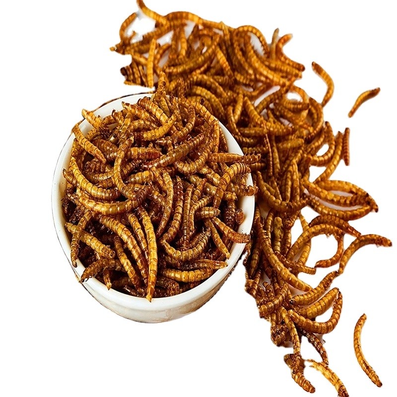 Food Ingredients Manufacturer - Dried Mealworms Yellow Dry Food Ingredients for Animal Feed