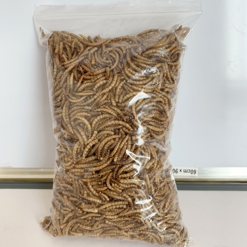 Animal Feed Supplier - Wholesale Bulk Dried Mealworms Animal Feed High Protein Good Sale