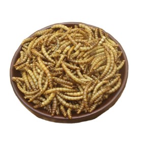 Reptile Food Supplier - Tortoise Pet Food Dried Fish Tiny Shrimp Dried Grasshopper Dried Mealworm