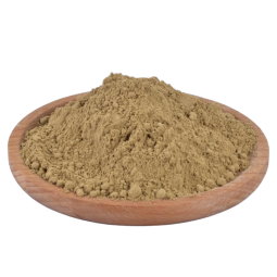 Pet Supplement Supplier - Defatted Black Soldier Fly Powder Pet Supplement for Horse Pig Fish Dog and Cattle