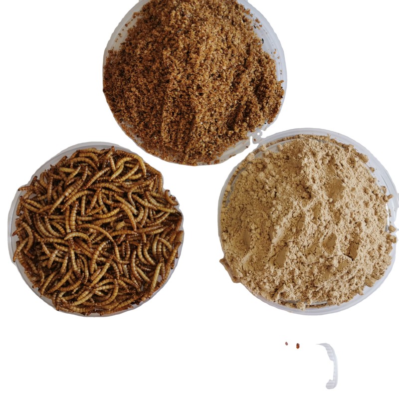 Animal Feed Supplier - High Protein Yellow Mealworm Powder Premium Food Additive and Animal Feed for Horse