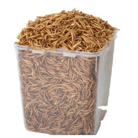 Fish Meal Manufacturer - Stock Fish Meal Animal Feed Dry Meal Worm Dried Mealworms for Aquaculture