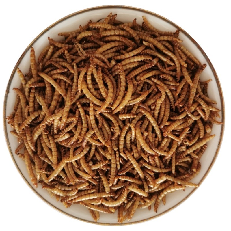Fish Meal Manufacturer - Stock Fish Meal Animal Feed Dry Meal Worm Dried Mealworms for Aquaculture