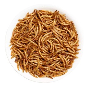 Pet Food Manufacturer - Goldfish Worms Dried Mealworm Food for Koi King Betta Ornamental Fish