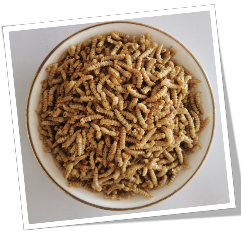 Fishing Feed Manufacturer - High Protein Feed Dried Mealworm Fishing Meal for Aquaculture