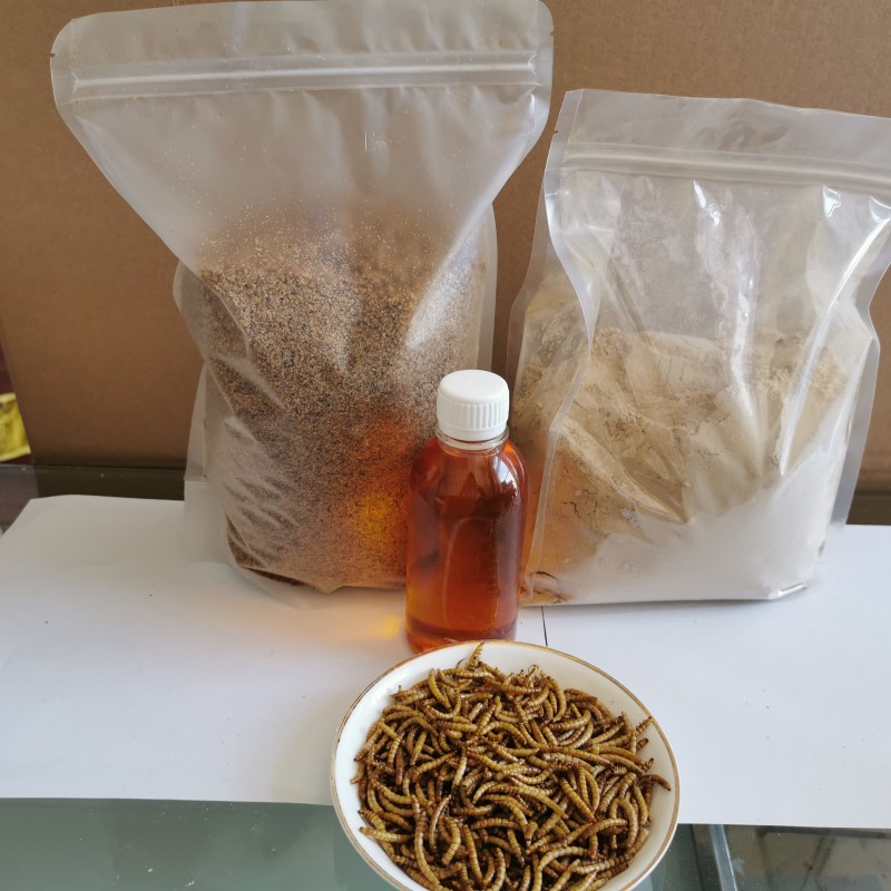 Pet Food Oil Supplier - Special 5% Max Moisture Dried Mealworm Oil for Dry Pet Food Worm Oil