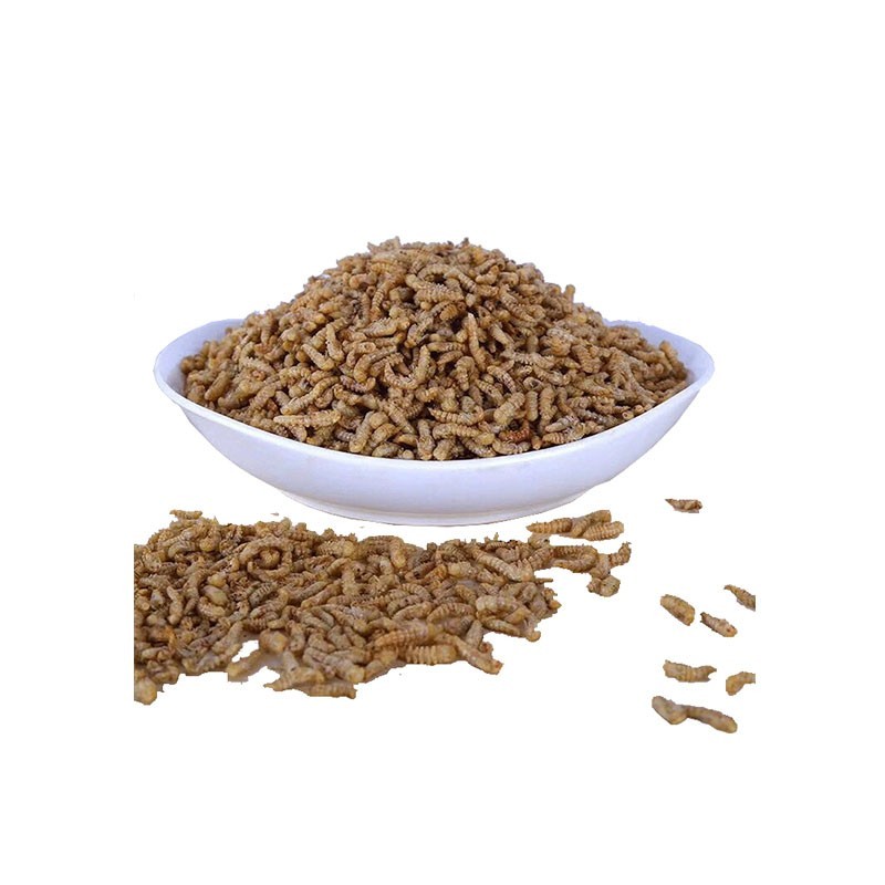 Insect Powder Manufacturer - 100% Pure Mealworm Meal Insect Powder Premium Fish Feed Additive for Pig
