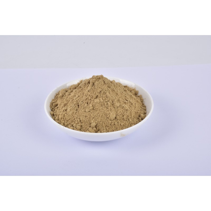 BSFL Meal Supplier - Dried BSFL Meal Powder Black Soldier Fly Larvae for Horse Cattle Pig Fish Dog Use