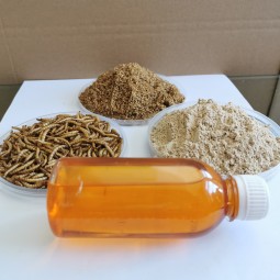 Pet Oil Factory - Factory Direct Price Dried Mealworm Oil Pet Food Reptile Food Super Worm for Sale