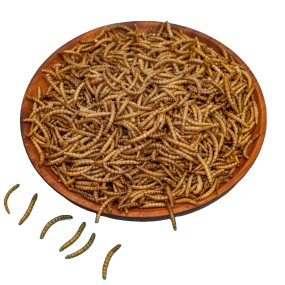Bird Food Factory - High Quality Dry Food Yellow Mealworms for Birds and Pet Animals